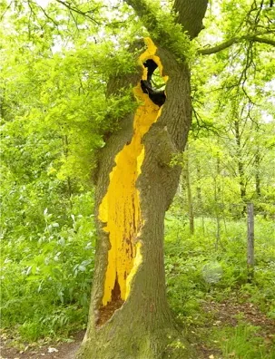 Landart — Goldener Baum II